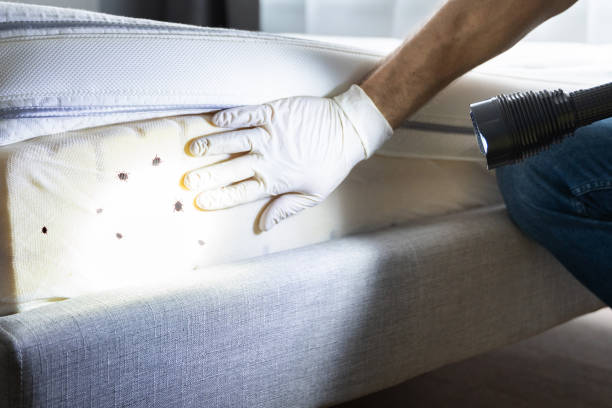 Trusted Milan, IN Pest Control Experts