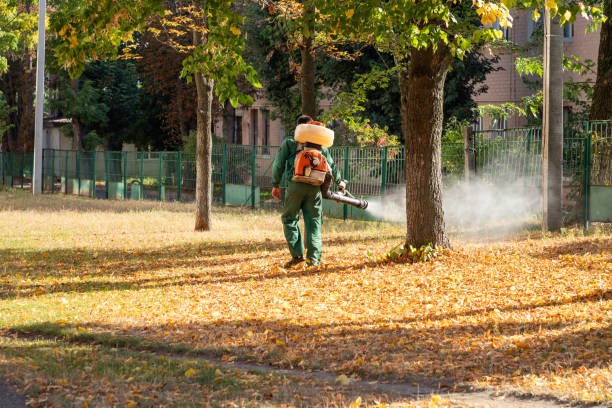 Best Spider Control Near Me  in Milan, IN