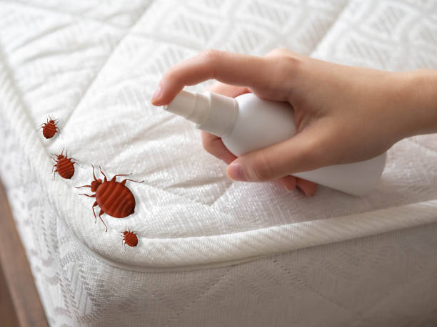 Best Bed Bug Extermination  in Milan, IN